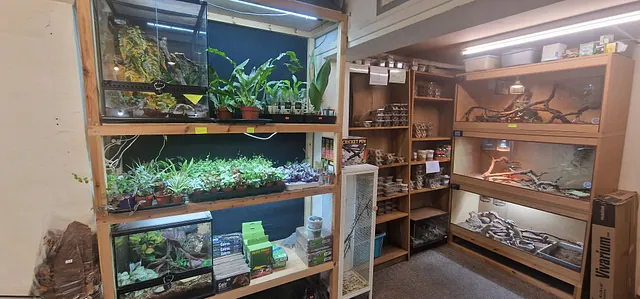 Live plants and Bio active exposure products