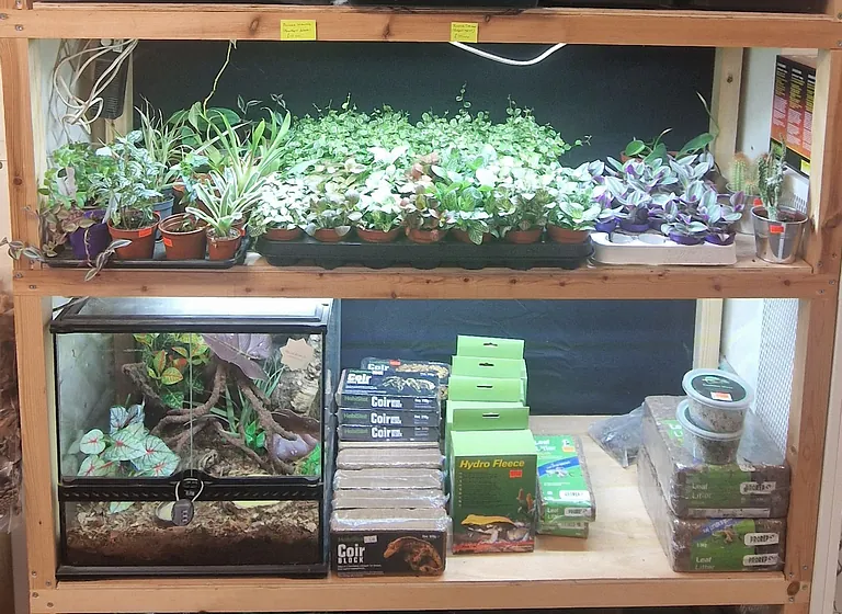 Live plants and Bio active exposure products