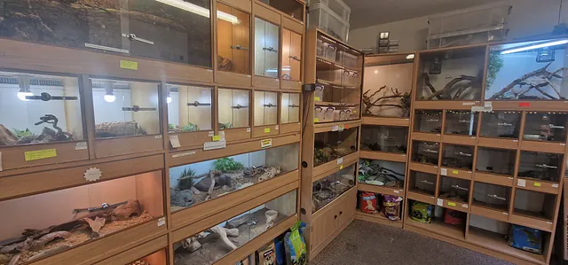 Live plants and Bio active exposure products